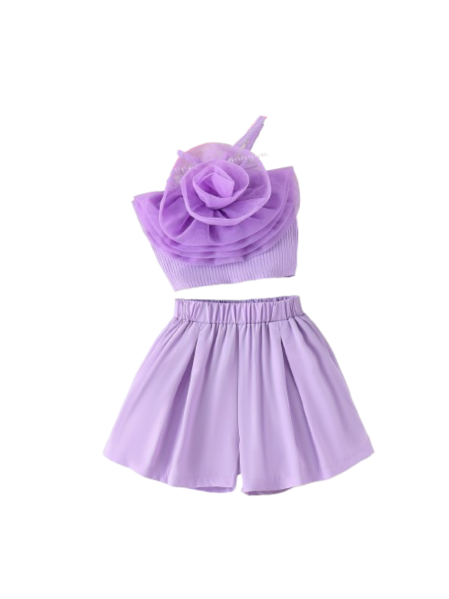 Set fete 2 piese - maieu si fusta pantalon mov ( 4-7 ani )